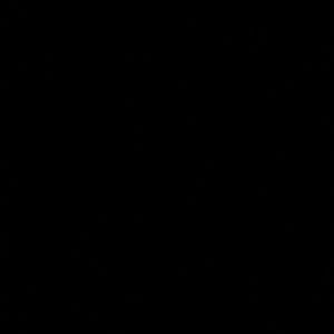 Meet your Posher, Adrian